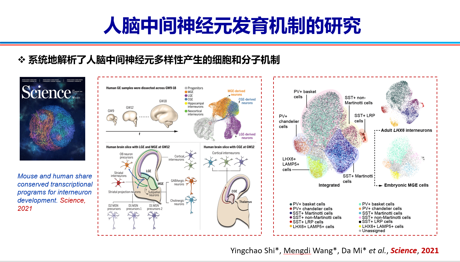 王晓群研究员在SCIENCE发表最新文章Mouse and human share conserved transcriptional programs for