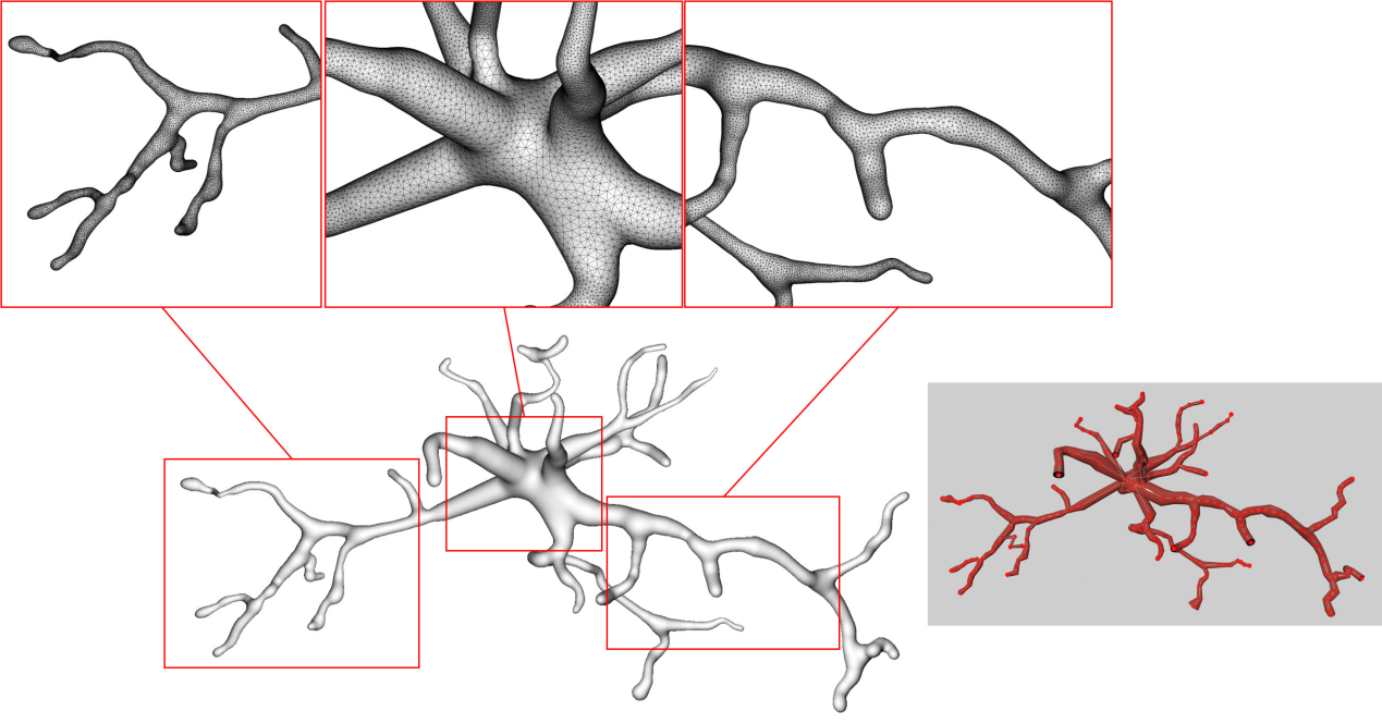 广东省智能院研究团队提出神经元形态结构表面模型生成方法