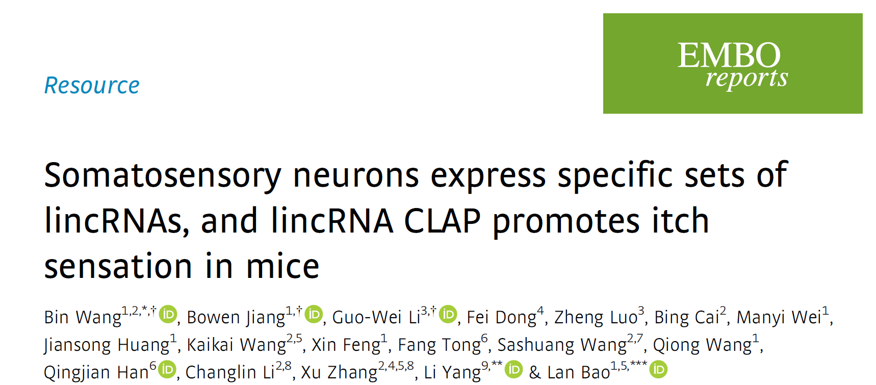 广东省智能院研究团队揭示初级感觉神经元中细胞类型特异性lincRNA的分布及其在痒觉传递中的功能