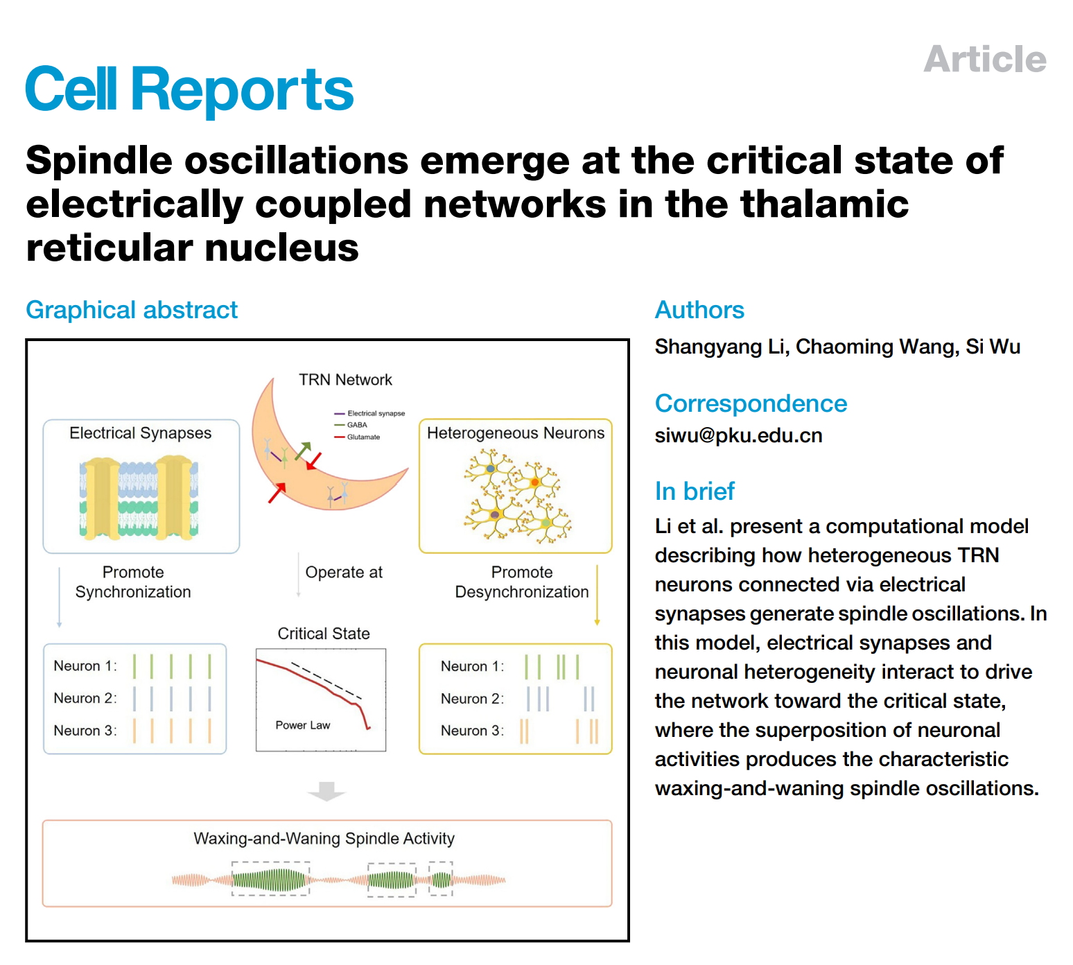 Cell Reports | 广东省智能院神经医学大模型智能联合实验室和吴思特聘研究员团队发现睡眠纺锤波全新生成机制